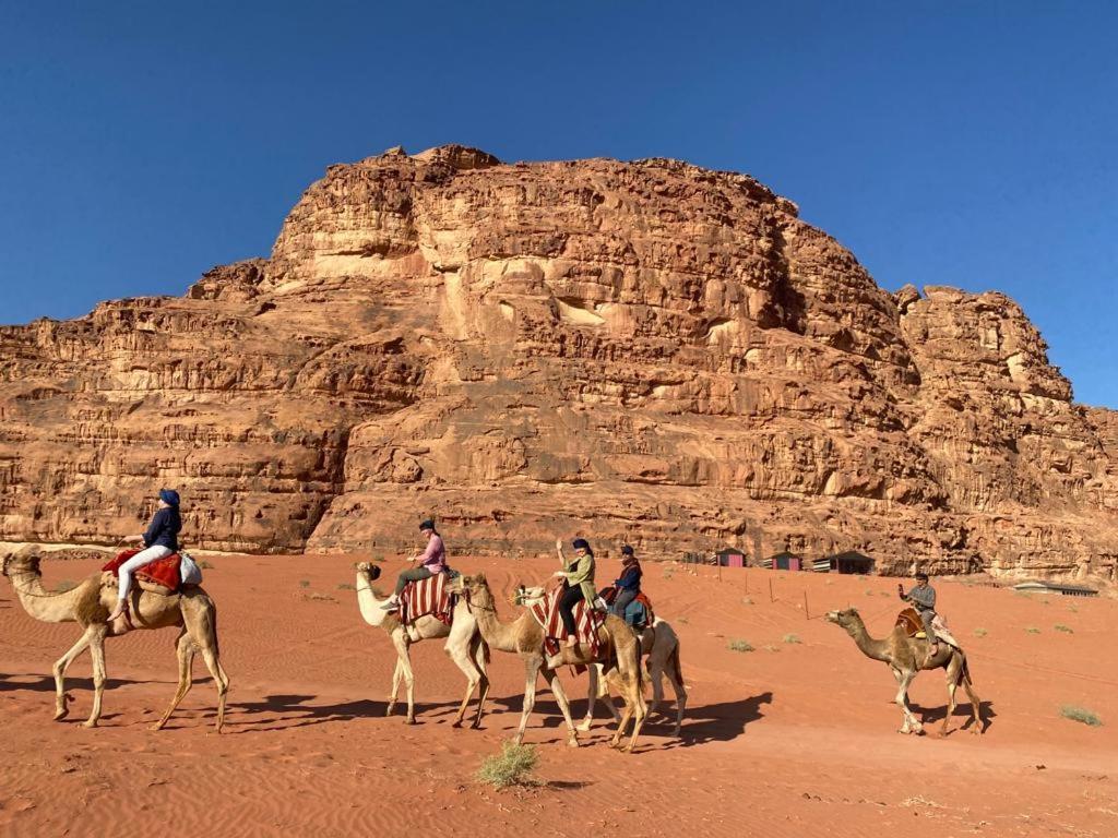 Omar Ghazi Camp Hotell Wadi Rum Exteriör bild